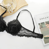 Women's Sexy Embroidered Lace Underwear Set with Steel Ring Padded Strapless Bra Set Adjustable Straps Push-Up Support B6116