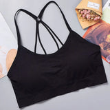Women’s Breathable Seamless Sports Bra Push Up Gym Fitness Yoga Top High Impact Workout Activewear