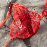 Transparent Sexy Lace Bra Set Exotic Sets Hollow Bra And Panty  Women Prints Intimates Underwear Porn Fancy Sexy Luxury Lingerie