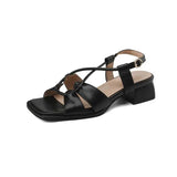 2026Summer New Model Fashion Middle Heeled Women's Sandals Black Buckle Open-toe Comfortable Hollow-out Women's Shoes High 3.5cm