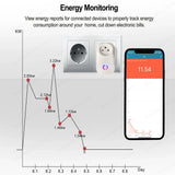 16A Israel Plug Tuya Smart Wifi Power Plug Wireless Socket Outlet Work with Alexa Google Home Assistant Smart Life APP
