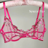 French Floral Lace Bra Set Push Up Underwire Large Bust Sheer Mesh See Through Sexy Bra Embroidery Demi Cup Lingerie Set MOYISU