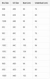 Front Buckle plus size Brassiere Embroidered Lace Splicing Push up Bra for women Thin cup Comfortable sexy bras