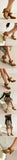 2026 Plus Size 45 Vintage Bowknot Bow Mary Jane Shoes Women 7cm High Heeled Retro Suede Look Brown Lolita Block Heel Pumps