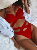 Sexy Underwired Bra Cup Female Swimsuit High Waist Bikini Women Swimwear Two-pieces Bikini set Push Up Bathing Suit Swim Lady