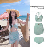 New Sexy Bikini Swimsuit for Women, Covering Flesh and Slimming, High-end Feeling, Spicy Girl Beach Vacation Three Piece Set
