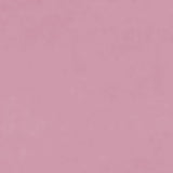 Women's Mini Skirt Low Waist Solid Color Ruffle Hem Skirt Lingerie Sexy Hot Skirts Summer