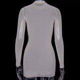Women Mesh Dress Spring Autumn Sexy Sheer Mesh Long Sleeve Package Hip Sheath Dress Lady Sexy Club Body Wrap Mini Short Vestidos