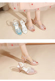 Sandals for Women's  New Summer Elegant Temperament High Heels Coarse Heels Fish Mouth Breathable Comfortable Fashion Pumps