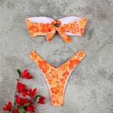 Micro Bikini Push Up Swimsuits For Women 2024 Sexy Female Swimwear Brazilian Bikini Set Thong Biquini Swim Suits Print Beachwear
