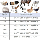 FREEPOWER Thermometer for Medical Purposes Reusable with Flexible Tip for Poultry Houses Clinic Diagnosis for Pet Use