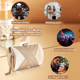 ABQR Tassel Fashion Ladies Clutch Bag Shoulder Handbags Female Party Wedding Evening Bag For Phone Purse Gold