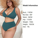 0XL - 4XL New Printed Bikini Large Size Swimwear Plus Size Women Swimsuit Female Two-pieces Bikini Set Bather Bathing Suit V5909