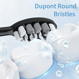 Electric Toothbrush Rotary With Timer Waterproof USB Rechargeable 10 Heads