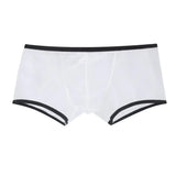 Mesh Perspective Shorts Panties Men Boxer Underwear Transparent Low-rise Moisture-wicking Boxer Shorts