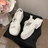 Fashion Crystal Buckle Platform Sandals Women Pink Embroidery Thick Heels Sandalias Mujer Comfortable Heightened Rome Sandals