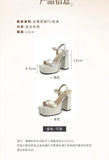 Silver Women Sandals Square Toe 12.5cm High Heel 4.5cm Platform Buckle Strap Large Size 43 44 45 46 Sexy Dating Shoes