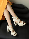 Summer Sexy Gladiator Women Sandals Designer Peep Toe Hollow Out High Heels Platform Party Ladies Shoes Zipper Sandales Femmes