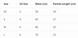 10 PCS Multicolor Women Ribbed Thongs Soft Viscose Blend Low Waist T-back Panties for Daily Wear