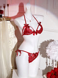 Sexi French Lace Bra And Panty Set Perspective Sex Erotic Costumes Lingerie Set Underwear Babydoll Dress Sexy Lingerie For Women