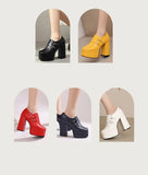 Plus Size Double Row Small Buckle Side Zipper Square Toe Double Layer Platform High Thick Heel Women's Pumps Shallow High Heels