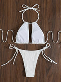 2025 Halter Tie Side Hollow Out Smocked Bikini Women Swimsuit Female Swimwear Two Pieces Bikini Set Swim Bathing Suit Beach Wear