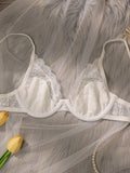 Beautiful fashionable colored strip steel support underwear thin lace semi transparent women's underwear sexy Lingerie HR2635