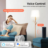 TNCE Tuya WIFI Light Dimmer Switch EU/US Brightness adjust LED Dimmer Breaker Module Smart Life Voice Control Alexa Google Home