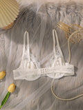 Beautiful fashionable colored strip steel support underwear thin lace semi transparent women's underwear sexy Lingerie HR2635