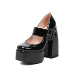 Spring and Autumn New Styles Fashion Round Head High-heeled Women's Shoes Shallow Mouth Buckle Square Heel Mary Jane Women Shoes
