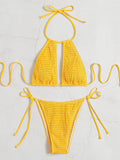2025 Halter Tie Side Hollow Out Smocked Bikini Women Swimsuit Female Swimwear Two Pieces Bikini Set Swim Bathing Suit Beach Wear
