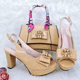 Doershow beautiful Italian Shoe and Bag Set New Shoes and Bag Set In Italy pink Color Italian Shoes with Matching Bags HFG1-23