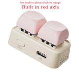 Office Portable Blue Tooth Remote Control Swipe Short Videos Mini Keypad Dual Button E-book Page Turner For Tablet Mobile Phone
