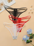 3 pieces of lace transparent multi-color combination high-quality butterfly embroidery thong sexy low waisted thong C304