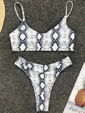 2026 Sexy Leopard Brazilian Bikini Female Swimsuit Women Swimwear Two Pieces Bikini Set High Cut Push Up Bathing Suit Swim Lady