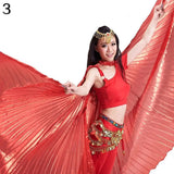 Women Fashion Egyptian Egypt Belly Dance Professional Costume Wing Belly Dance Accessories Stage Performance Wear
