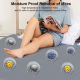 Electric Heating Pad with Automatic Thermostat Bed Warmer Heated Mattress for Bedroom Electric Fast Heating Mat Heated Pad 220V