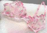 French Floral Bra Set Women | Sweet Sexy Sheer Mesh Lace, Transparent Underwear Set | Practical & Feminine MOYISU Sexy Panty Set