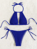 2025 Halter Tie Side Hollow Out Smocked Bikini Women Swimsuit Female Swimwear Two Pieces Bikini Set Swim Bathing Suit Beach Wear