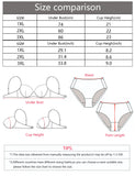 Women's embroidered lace plus size bra with steel ring gathering push up underwear suitable for full figured women MR2679