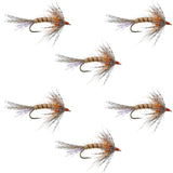 Orange Shakey Bealy Fall Soft Hackle Wet Fly - 6 Flies Hook Size 10