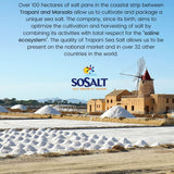 SoSalt, Coarse Natural Sea Salt, Sicilian, 22 lb (10 kg)