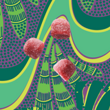 Hyaluronic Acid, Biotin & Baobab Superfood Gummies