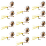 Sparkle Dun Pale Morning Dun PMD Mayfly 12 Flies Hook size 18