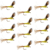 Sparkle Dun Pale Morning Dun PMD Yellow Body Mayfly 12 Flies Hook size 18