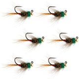 Tungsten Bead Tactical CDC Frenchie Czech Nymph Euro Jig - 6 Flies Size 14