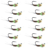 Tungsten Hot Spot Pheasant Tail Tactical Jig Euro Fly - 12 Flies Size 18