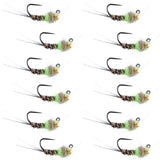 Tungsten Hot Spot Pheasant Tail Tactical Jig Euro Fly - 12 Flies Size 14