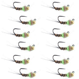 Tungsten Hot Spot Pheasant Tail Tactical Jig Euro Fly - 12 Flies Size 16
