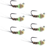 Tungsten Soft Hackle Pheasant Tail Tactical Euro Jig - 6 Flies Size 14